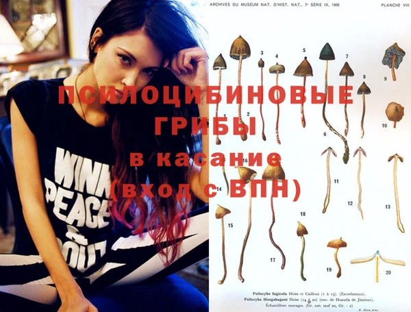 амф Каменск-Шахтинский
