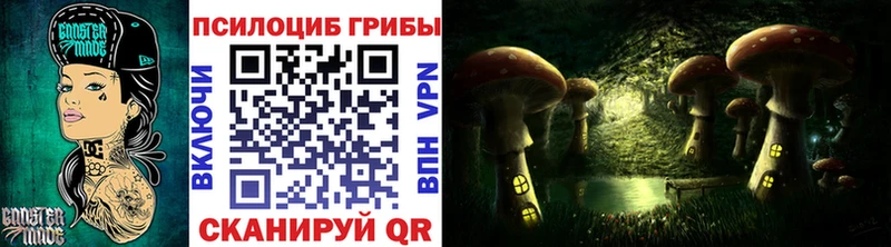 Купить  Соль-Илецк  Галлюциногенные грибы Cubensis 